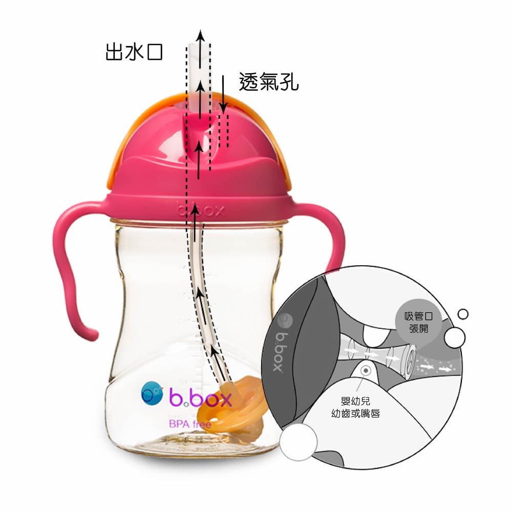 b.box NEW Sippy Cup - Deluxe Edition - PPSU - Pink Orange