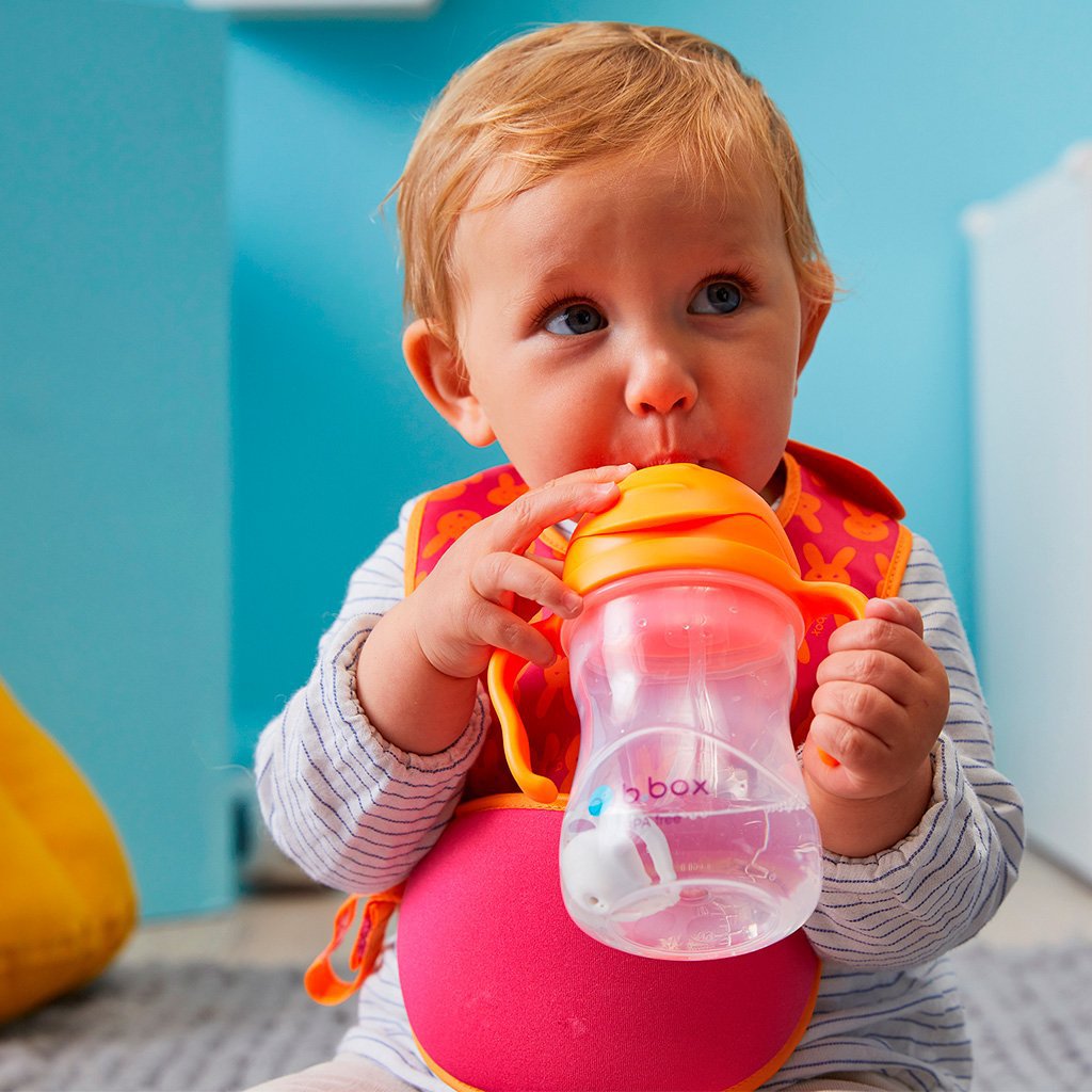 bbox-new-sippy-cup-pineapple-limited-edition- (7)