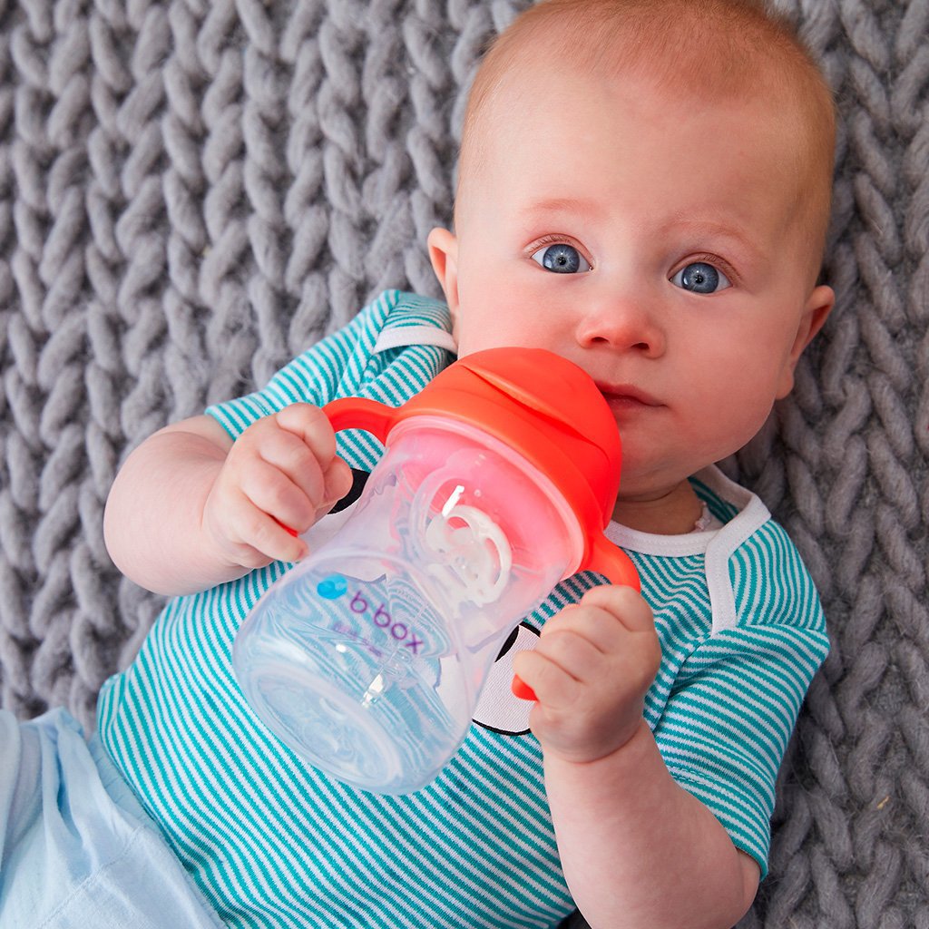 bbox-new-sippy-cup-purple- (12)